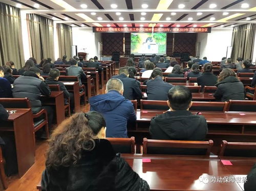 梨树县人社局组织全体干部职工集中收看全省人力资源和社会保障工作视频会议