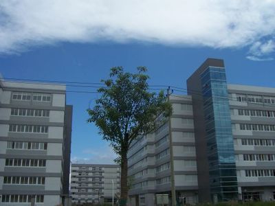 旺泉科技招聘信息 宁波旺泉科技招聘 人和人力资源_旺泉科技招聘信息 宁波旺泉科技招聘 人和人力资源价格_旺泉科技招聘信息 宁波旺泉科技招聘 人和人力资源厂家-勤加缘网【滑县人和人力资源服务】