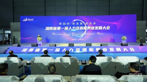 湖南力争人力资源服务营收突破600亿元 央广网