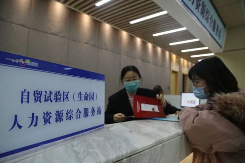 助力 两区 建设 昌平成立自贸区人力资源综合服务站