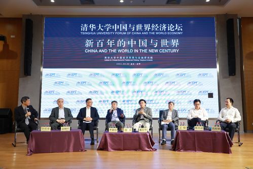 清华大学accept研究院 人口红利理论存在缺陷,中国人力总量2050前仍可增长