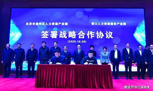 营口领航东北地区人力资源服务产业腾飞