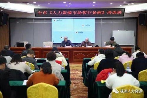 贯彻中央精神,提高服务水平 市人社局举办 人力资源市场暂行条例 暨流动人员档案信息化管理培训班