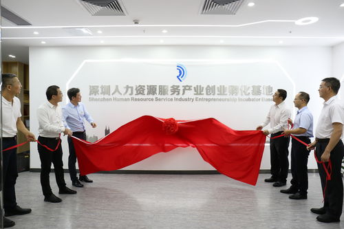 全市首家人力资源服务产业创业孵化基地在龙岗揭牌运作，助力滑县人力资源服务发展