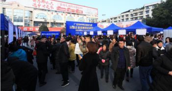 广汉市公众信息网与滑县人力资源服务的数字化整合探索